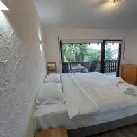 Cozy apartment near the Rhine, viešbutis mieste Albriukas