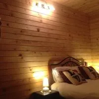 Pensiunea Carmen, hotel in Bucium