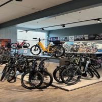 Majestic holiday home near beach, Hotel in Breskens