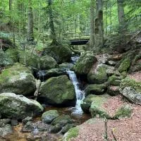 Ferienwohnung Ysperklamm, hotel Yspertalban