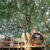 Clogau Tree House Hot tub &sauna, hotell i Penmaenpool