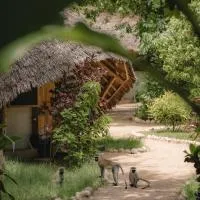 The Jungle Pearl Resort、ムトワンブのホテル