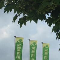 three green and white flags on poles under a tree at Camping Ter Hoeve, Bredene