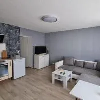Ferienwohnung Blumenberg Hahn Grabenstraße, hotel u gradu Štasfurt