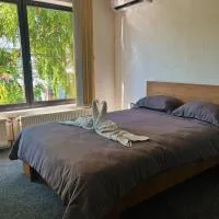 Apartman Alinac, hotel Cazinban