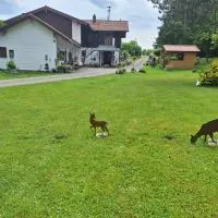 Ferienwohnung, hotel en Sauerlach