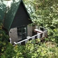 The Cottage at Mirador Springs Retreat:  bir otel