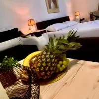 Villa Srna Apartments, hotell sihtkohas Brazda