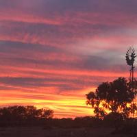 Wirraminna Station Accommodation, hotel near RAAF Woomera Airfield - UMR, Wirraminna