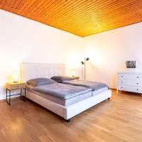 Viesnīca Rhein-Haus pilsētā Bādhēningene