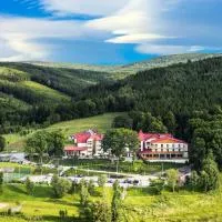 Malinowy Dwór Hotel Medical SPA, hotel v destinaci Świeradów-Zdrój