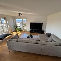 Seen&auml;he 300 Meter 126 qm Wohnfl&auml;che 6 Betten、ロルシャッハーベルクにあるSt. Gallen-Altenrhein Airport - ACHの周辺ホテル