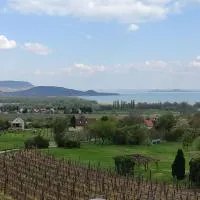 Szabó Pince Vendégház, hotel sa Balatonederics