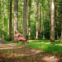 Summer Breeze cabin at Cabin Fever in NC, hotel sa Saluda
