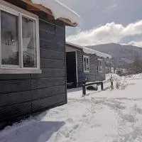 Cabañas Aliwen Lonquimay, ξενοδοχείο σε Lonquimay