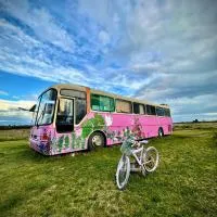 Bus Casa en observatorio de aves – hotel w mieście Puerto Montt