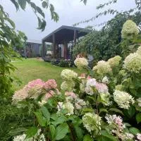 Olly House, hotel sa Glebovka