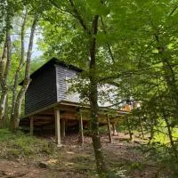 Idylisk primitiv hytte midt i skoven, hotelli kohteessa Them