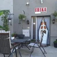 Erika Apartman, hotel v destinaci Szentgyörgyvölgy