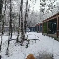 Boker Tov Pucón, hotel i Pucón