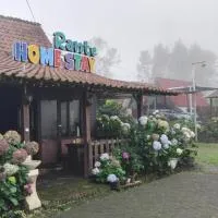 Rante Homestay & Cafe, hotel v destinaci Biau