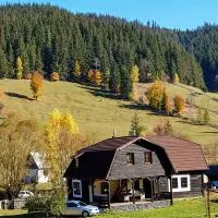 Cabana Soarelui,Napos vendégház, hotel em Valea Boroş