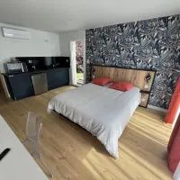 Studio La Salamandre, hotelli kohteessa Plauzat