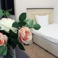 Hotel Par Avion، فندق في أبريلتسي