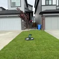Super house, hotel di Calgary
