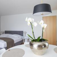 Dreisam Apartments, ξενοδοχείο κοντά στο Αεροδρόμιο Βασιλείας - Mulhouse - Φράιμπουργκ - QFB, Φράιμπουργκ ιμ Μπράισγκαου