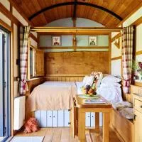 The Flying Scotsman Shepherd's Hut with Hot Tub, хотел в Брекън
