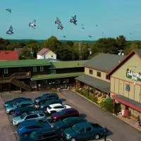 Adventure Inn, hotel di Ely