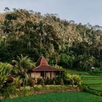 Ravelyn House, hotel di Silebeng