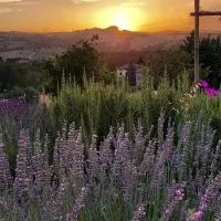 Amor di Lavanda, хотел в Чинголи