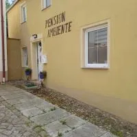 Pension Ambiente, hotel v destinaci Mühlberg