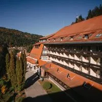 Hotel Ciucas، فندق في بايلي توشناد
