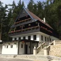 소콜로프에 위치한 호텔 Hunting Lodge Vitkov