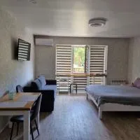 1кімнатна квартира Поляна, Грін Парк, 2 поверх, hotel di Polyana