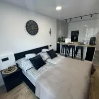 Tarnów में, होटल Luxury Premium Apartment Tarnów City