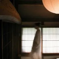 Akitsu Ryokan โรงแรมในไมบาระ