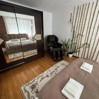 Central main street apartament, viešbutis mieste Višeu de Susas