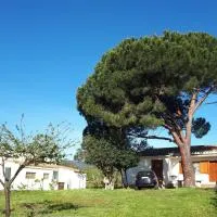 Casetta Patrizia, hotel en Capo Comino