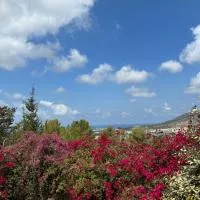 BEACH BAY suit, hotel di Shlomi