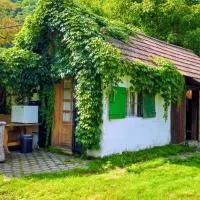 Donauhaus - Natur, Kultur, Entspannung & Sport, hotel di Aggsbach