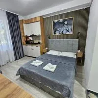 AchiDav 133, hotel u gradu 'Onești'