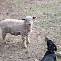Trinity House, hotel near Wondai Airport - WDI, Wondai