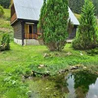 Chata pri jazierku - Cottage by the Little Lake، فندق في Nižná Boca