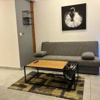 Chic 2-BR Loft w and Yard – hotel w mieście Pieta