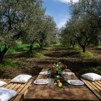 Fontana Murata Resort & spa, hotel in Borgo Regalmici