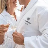 Elements Suites, hotel en Middlezoy